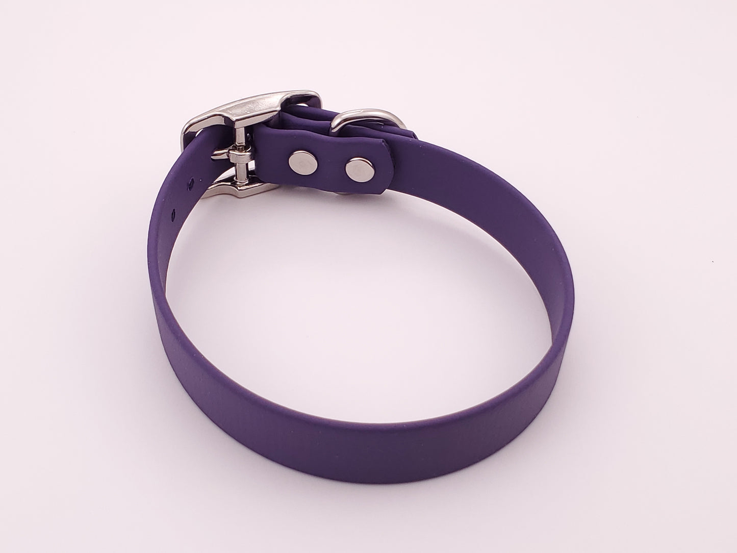 12.5" Purple Solid Buckle Collar