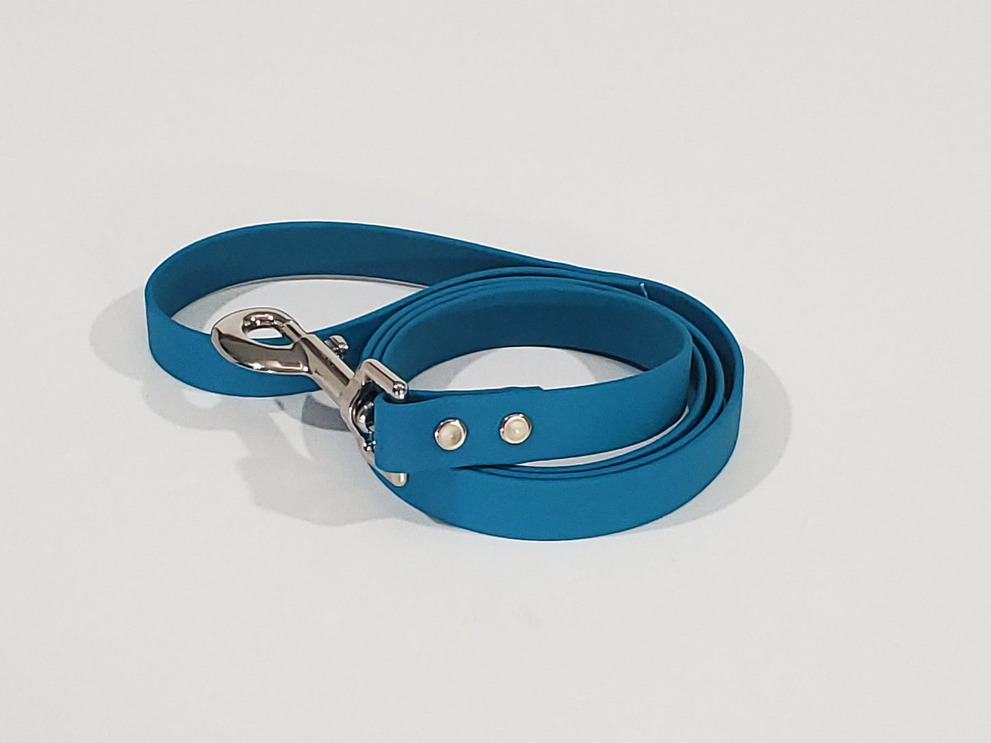 Biothane Leash