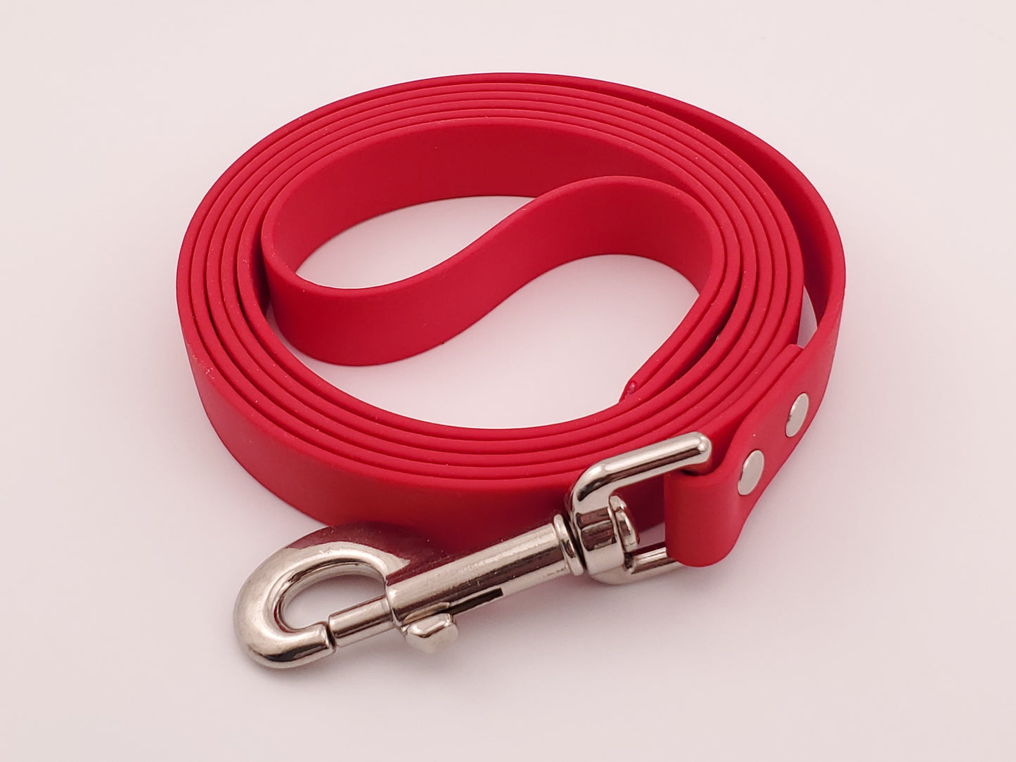 Biothane Leash