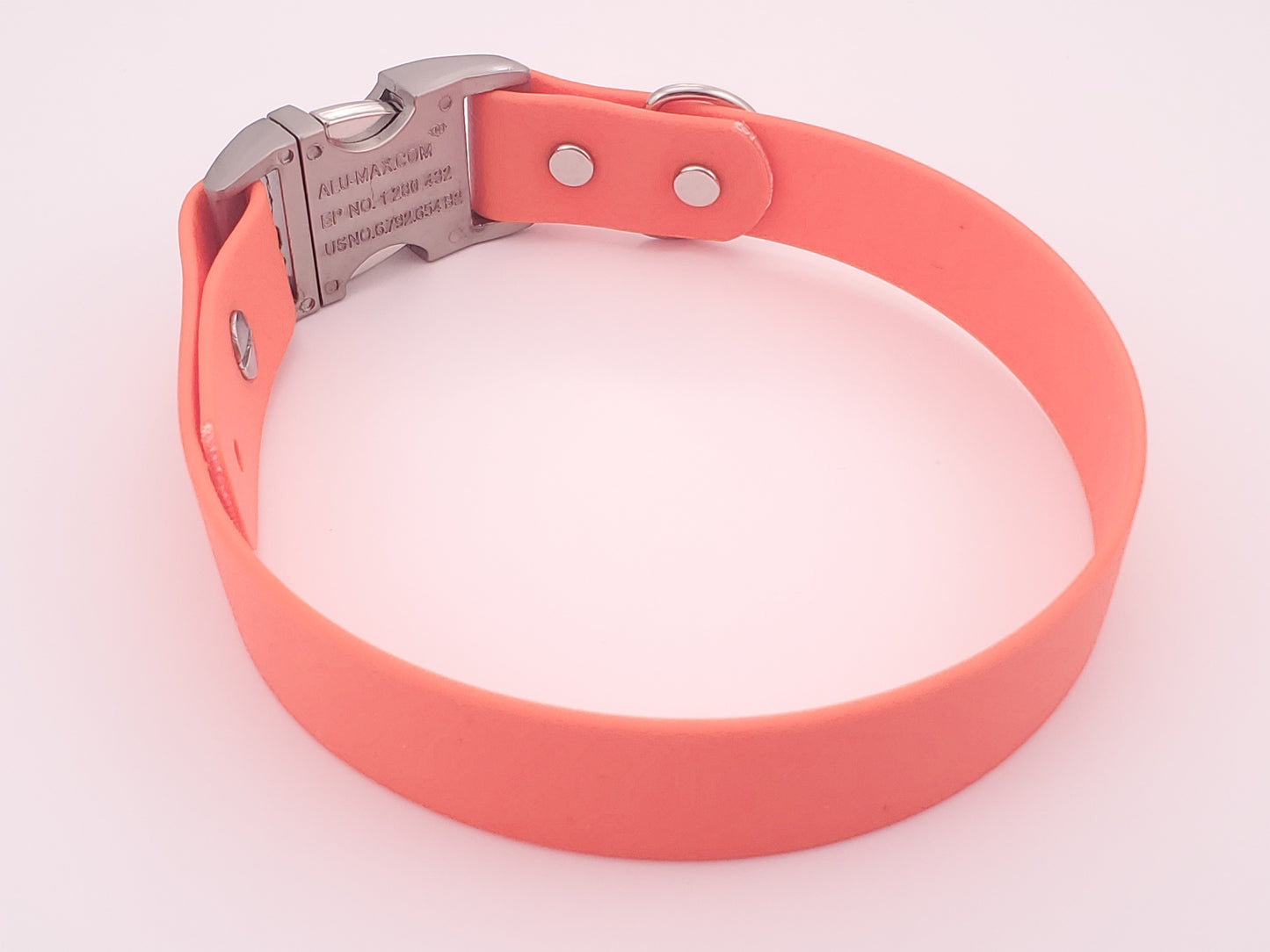 Orange 1" Quick Release Buckle Collar