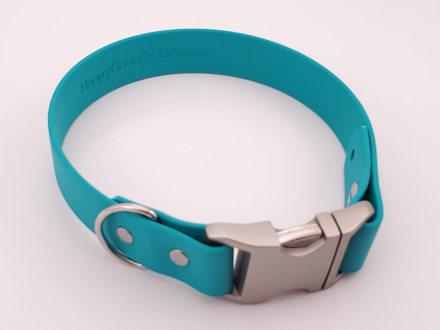 Teal 1" Quick Release Buckle Collar