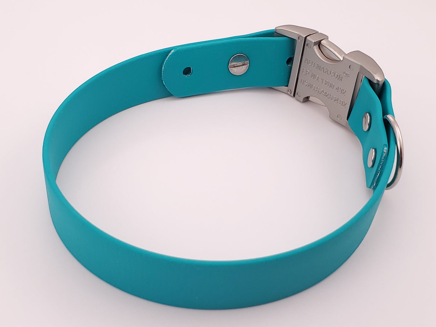 Teal 1" Quick Release Buckle Collar