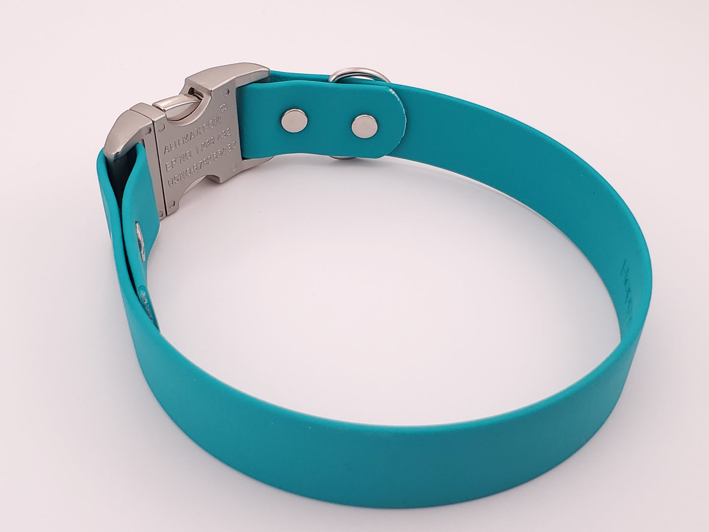 Teal 1" Quick Release Buckle Collar