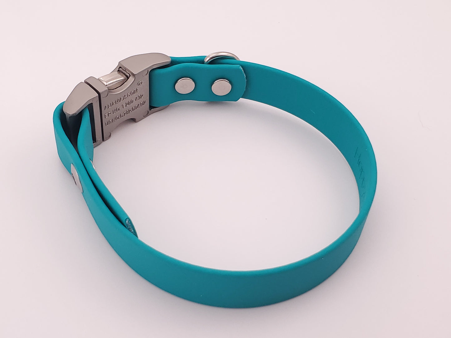 Teal 3/4" Quick Release Buckle Collar