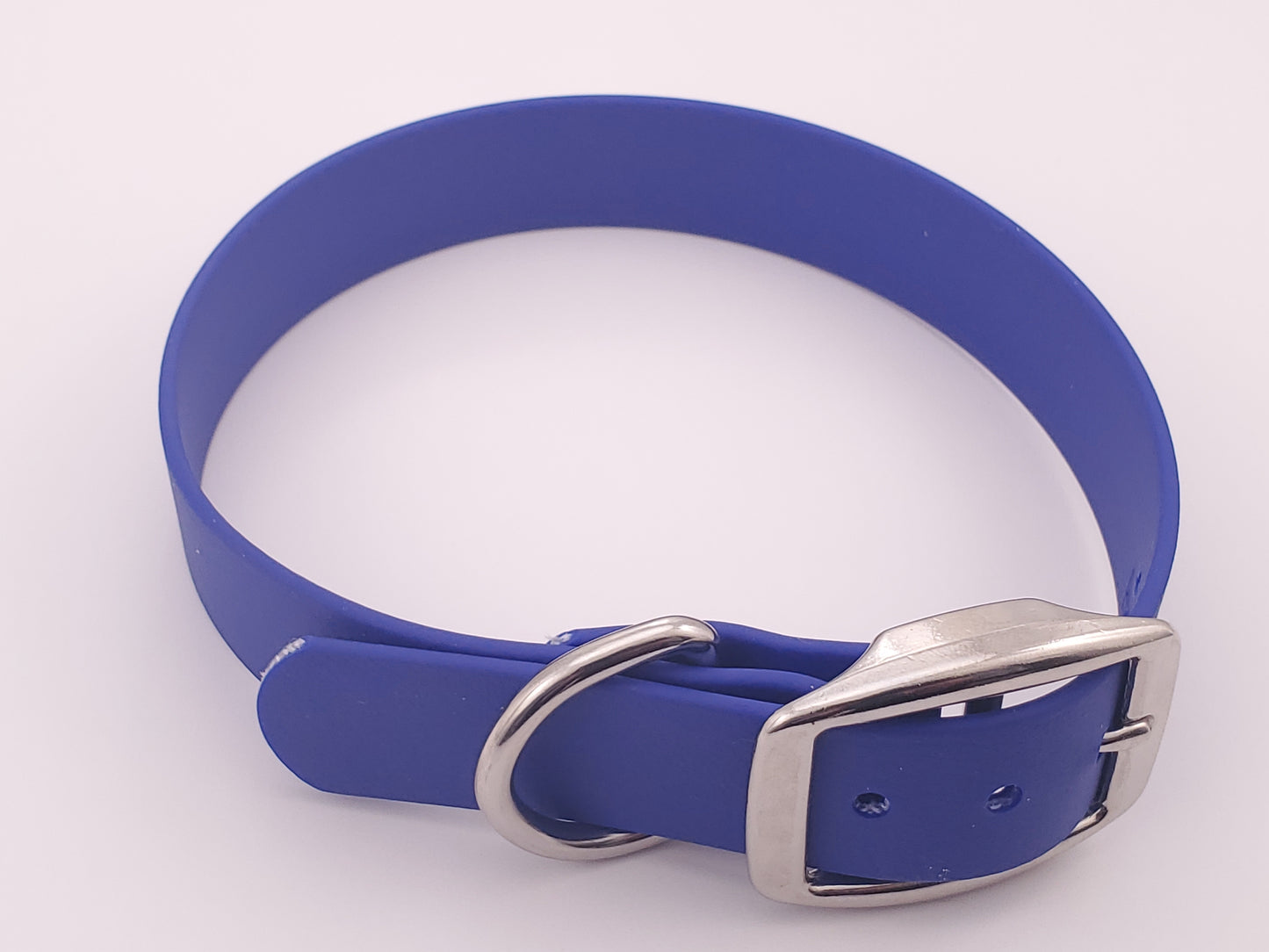 Blue 1" Solid Buckle Collar