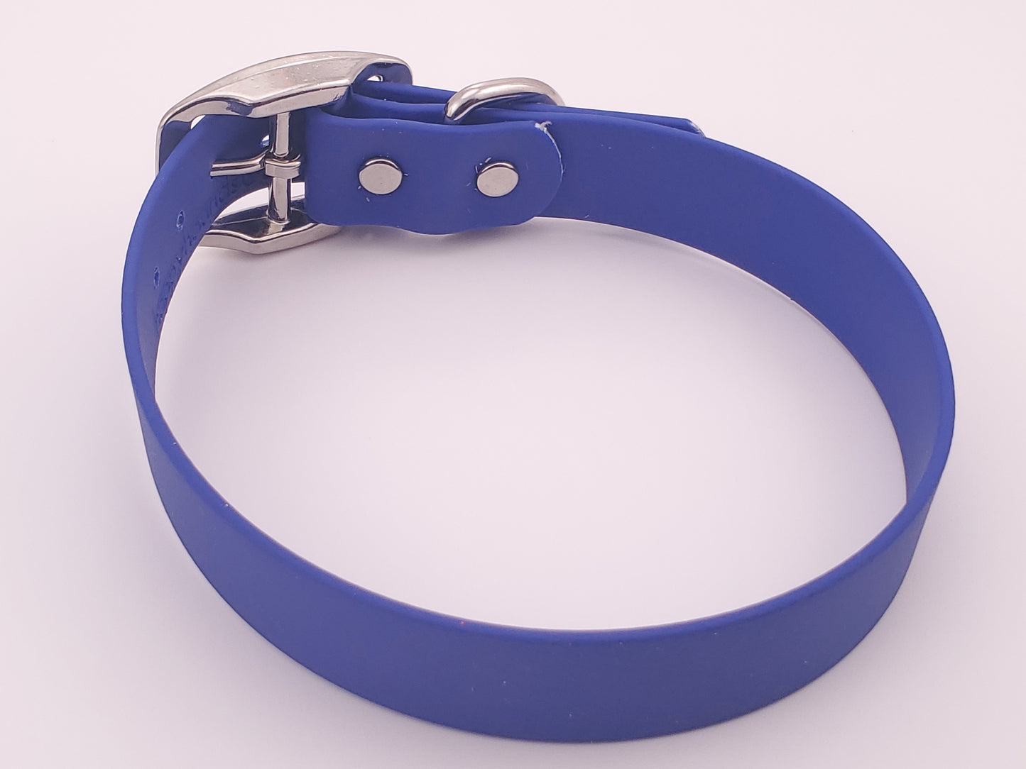 Blue 1" Solid Buckle Collar