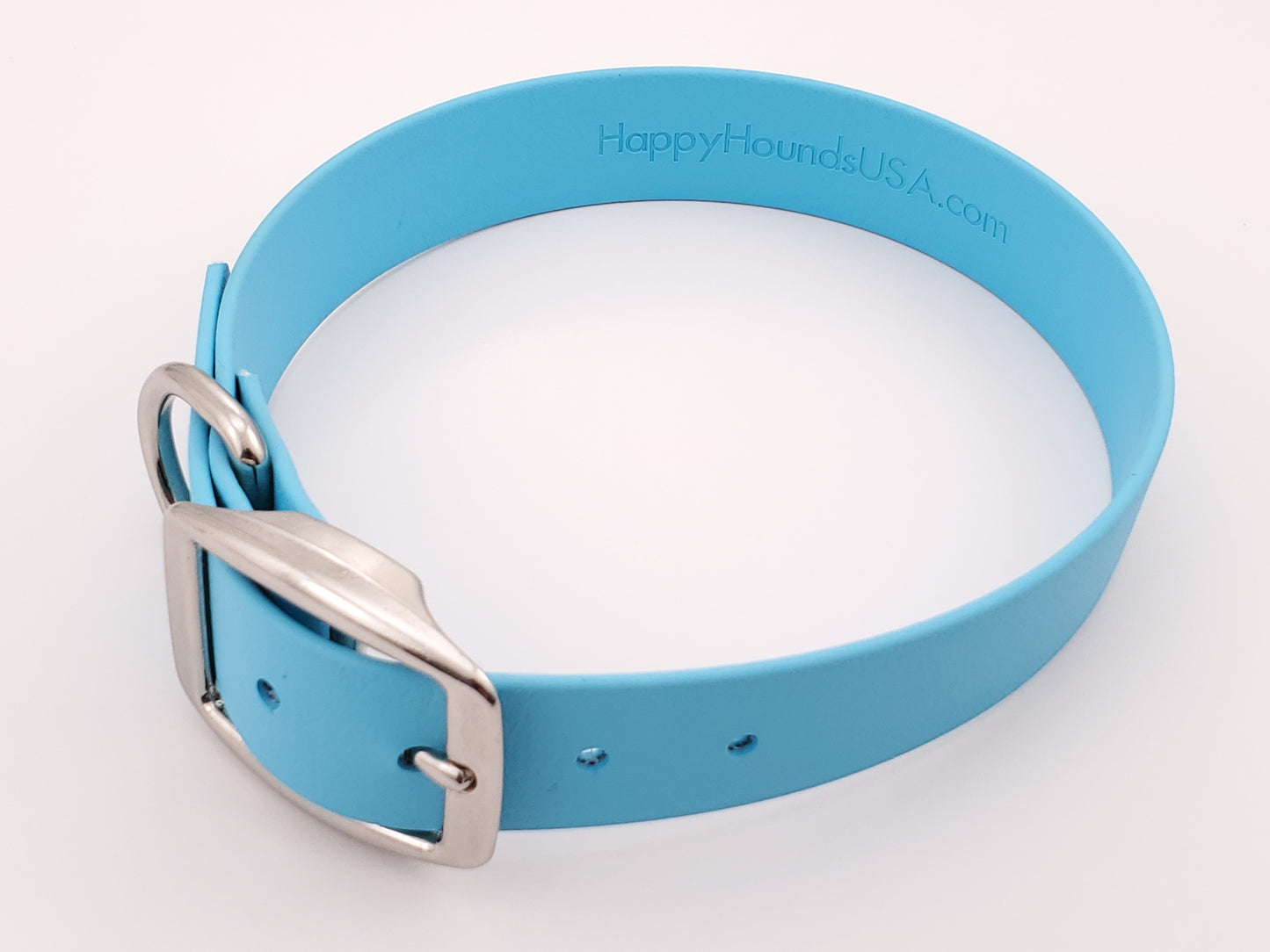 Light Blue 1" Solid Buckle Collar