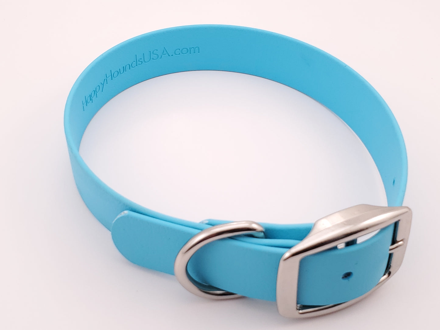 Light Blue 1" Solid Buckle Collar