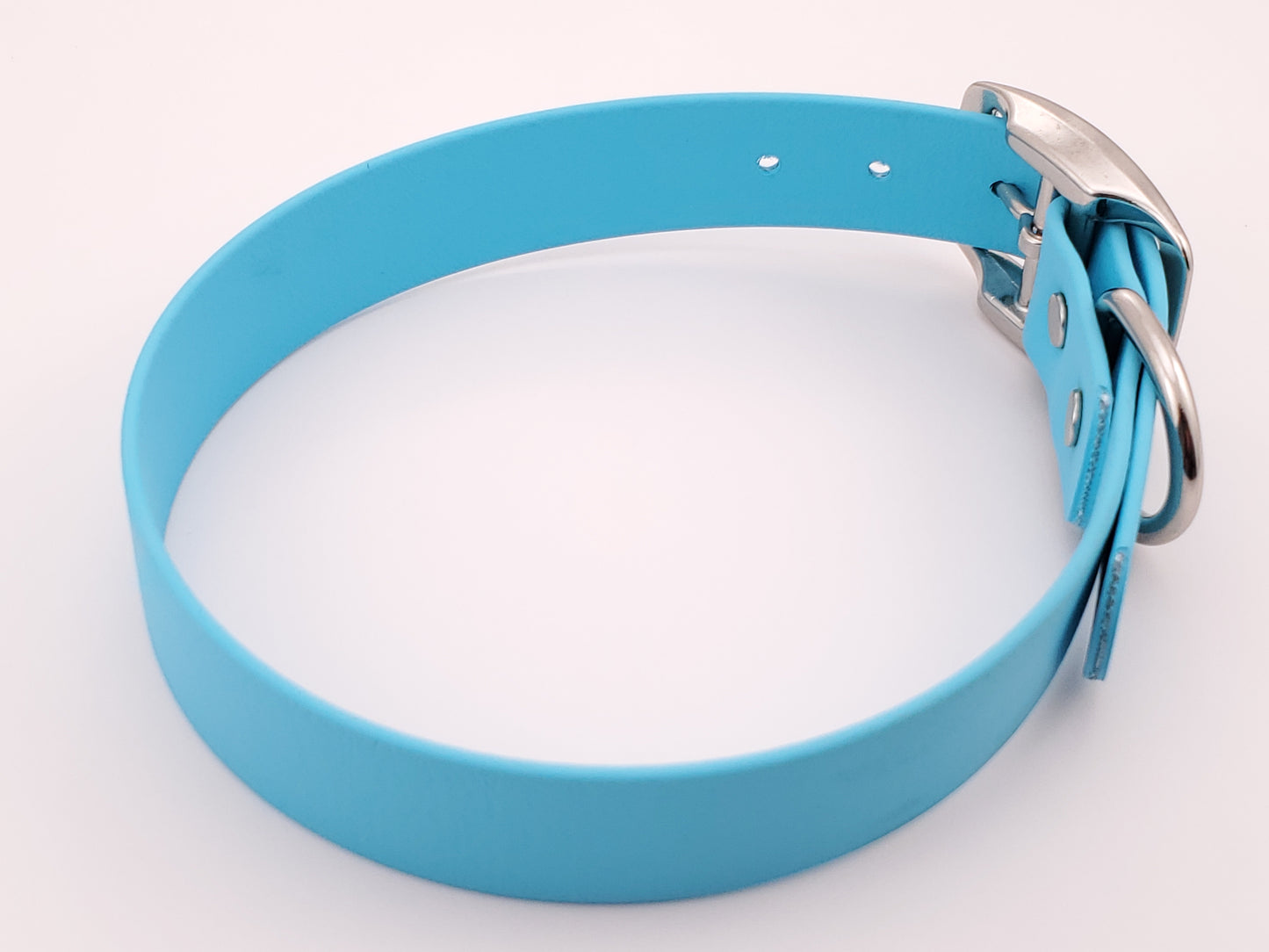 Light Blue 1" Solid Buckle Collar