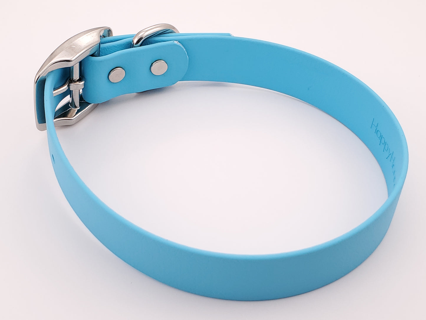 Light Blue 1" Solid Buckle Collar