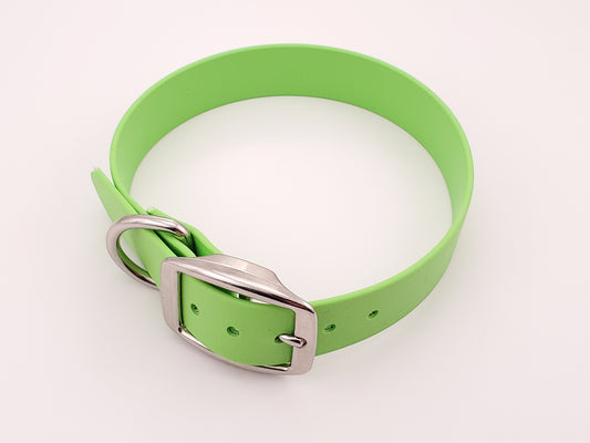 Light Green 1" Solid Buckle Collar