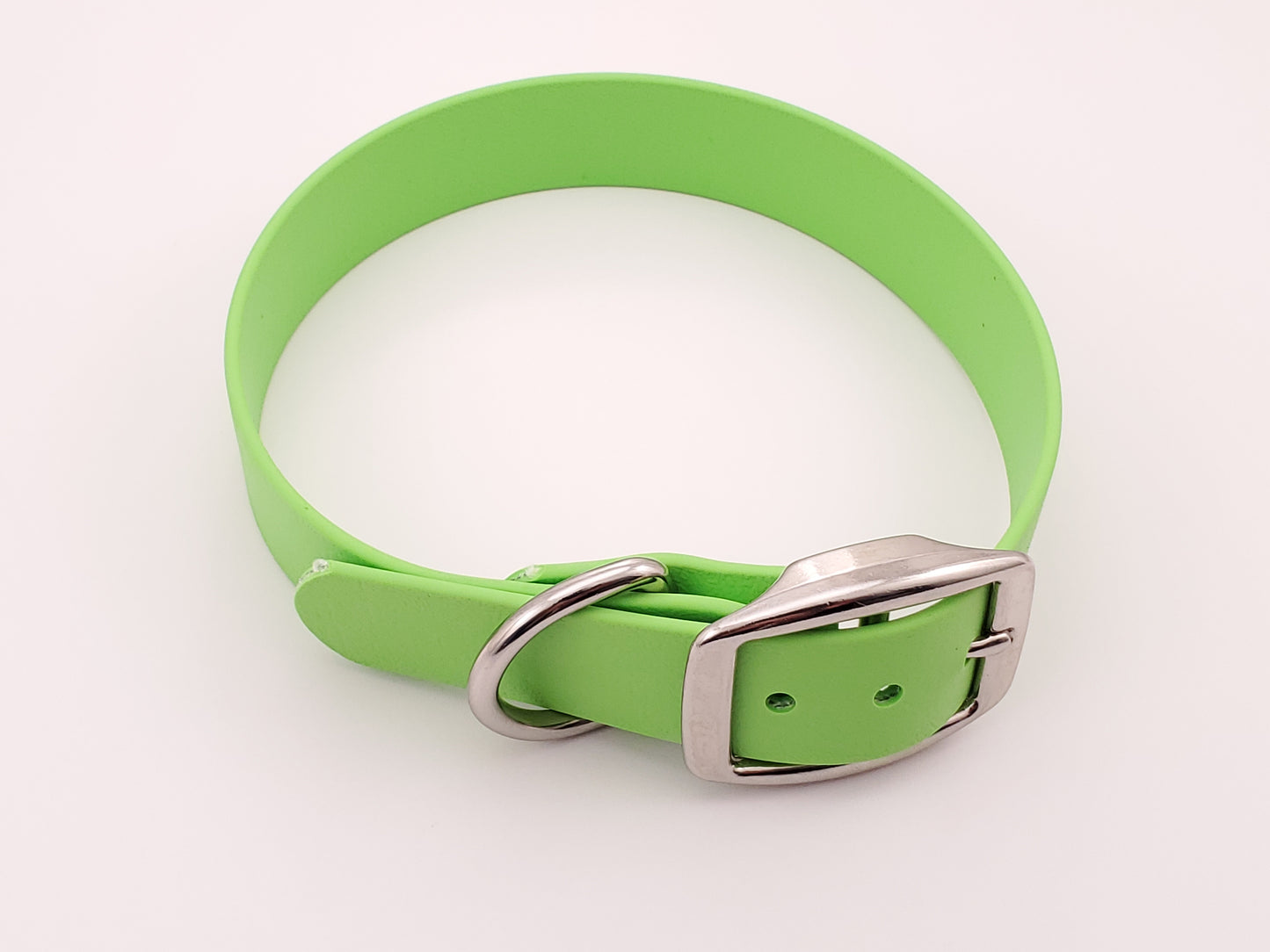 Light Green 1" Solid Buckle Collar