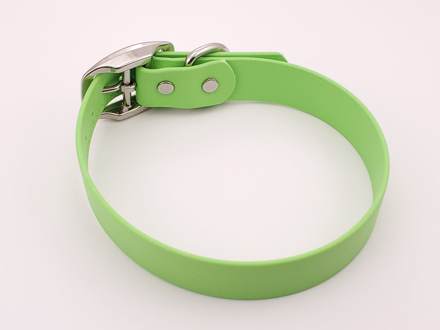 Light Green 1" Solid Buckle Collar