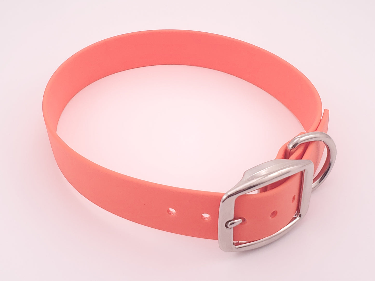 Orange 1" Solid Buckle Collar