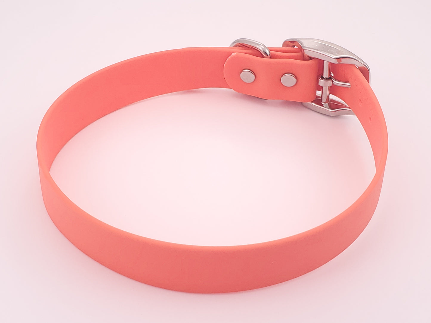 Orange 1" Solid Buckle Collar