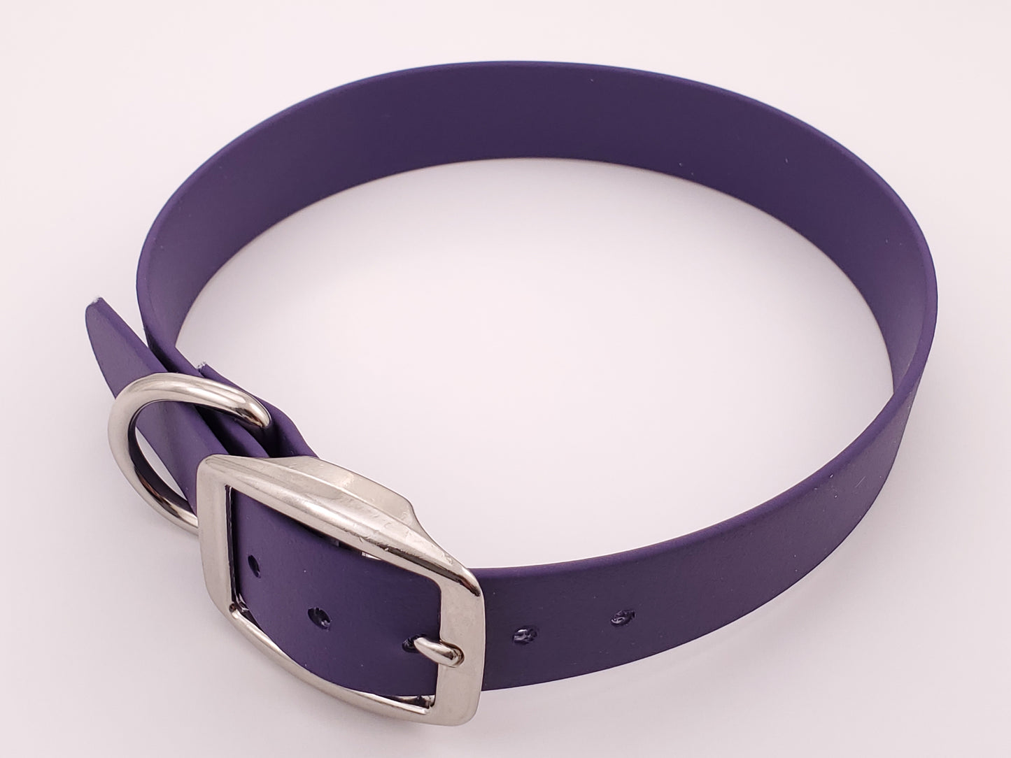 Purple 1" Solid Buckle Collar