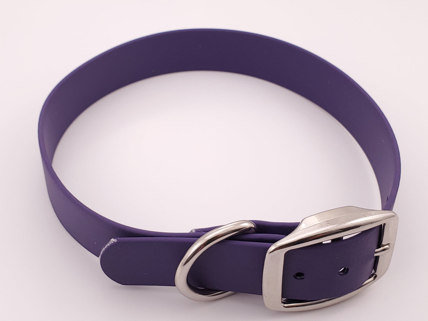 Purple 1" Solid Buckle Collar