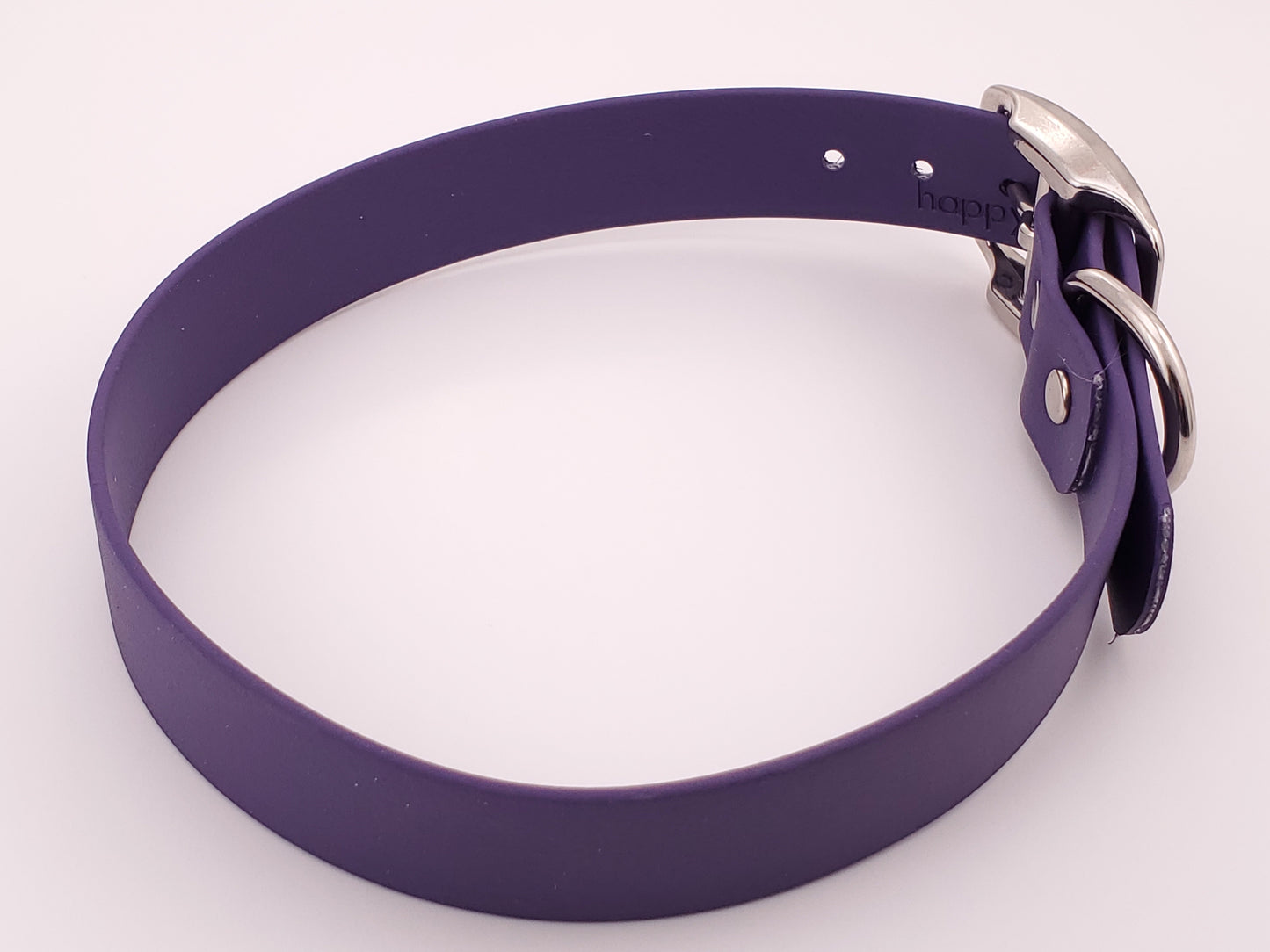 Purple 1" Solid Buckle Collar