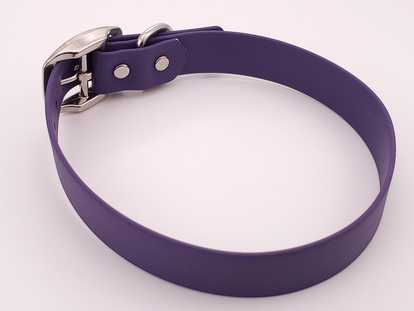 Purple 1" Solid Buckle Collar