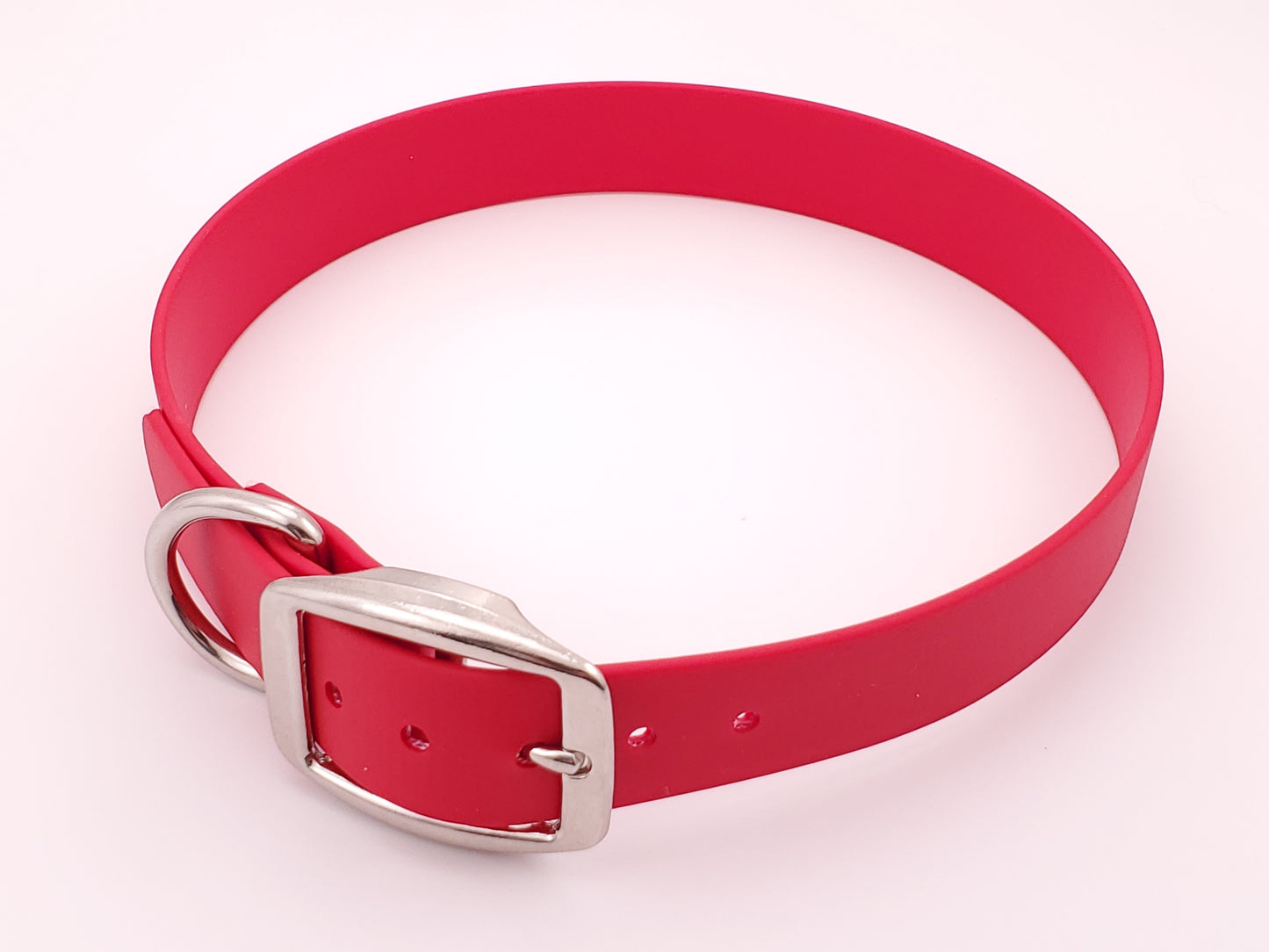 Red 1" Solid Buckle Collar