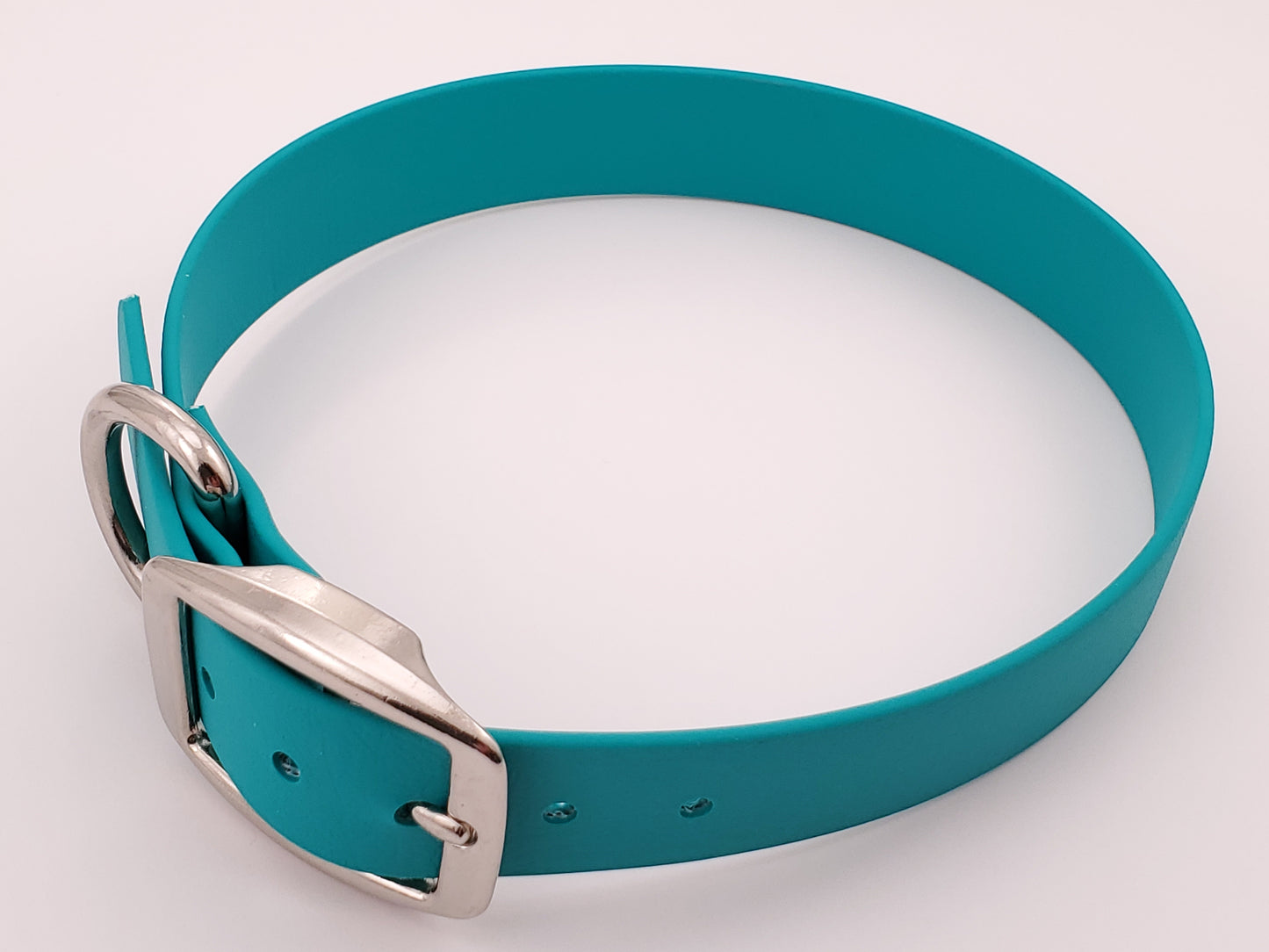 Teal 1" Solid Buckle Collar