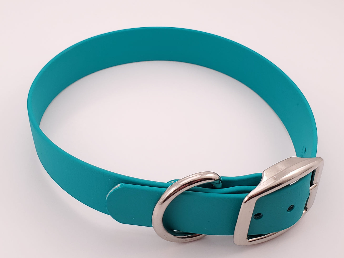 Teal 1" Solid Buckle Collar