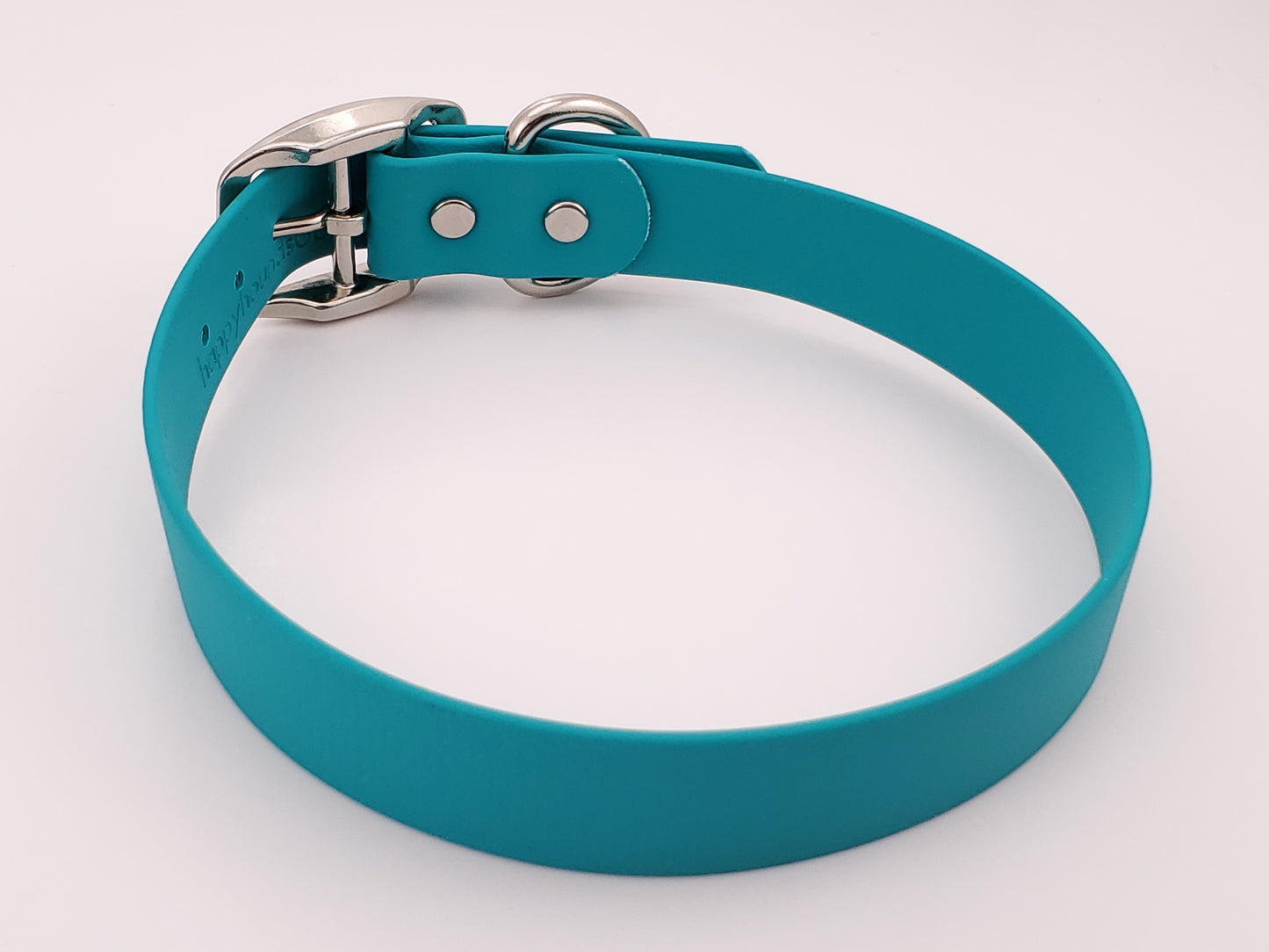 Teal 1" Solid Buckle Collar