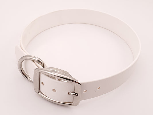 White 1" Solid Buckle Collar