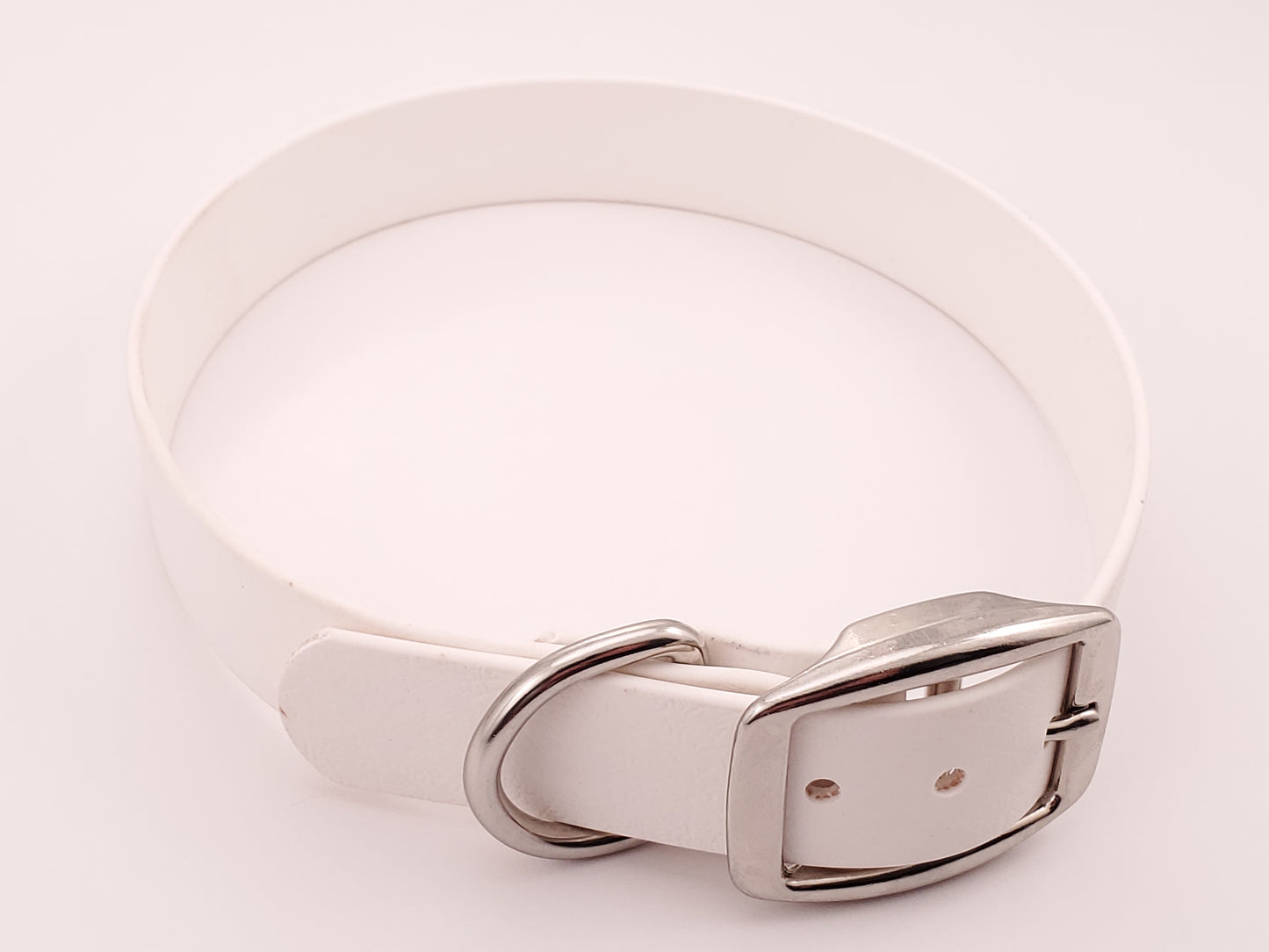 White 1" Solid Buckle Collar