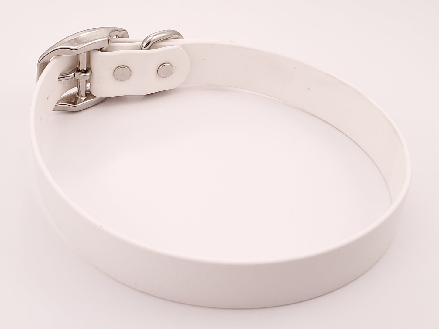 White 1" Solid Buckle Collar