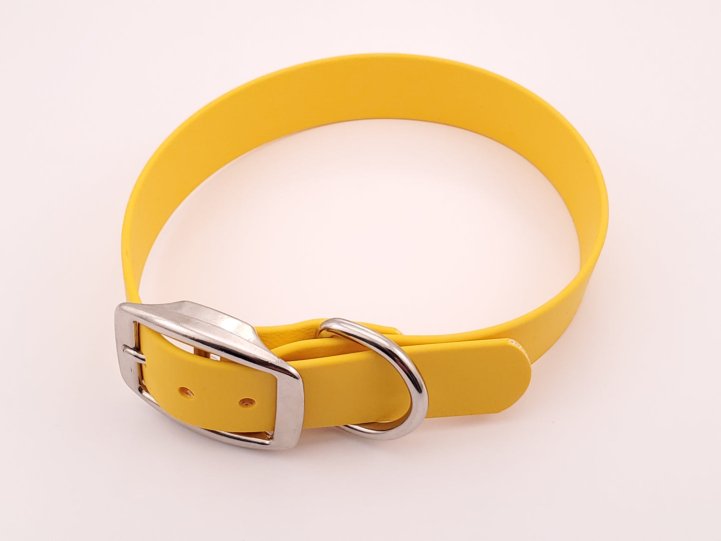 Yellow 1" Solid Buckle Collar