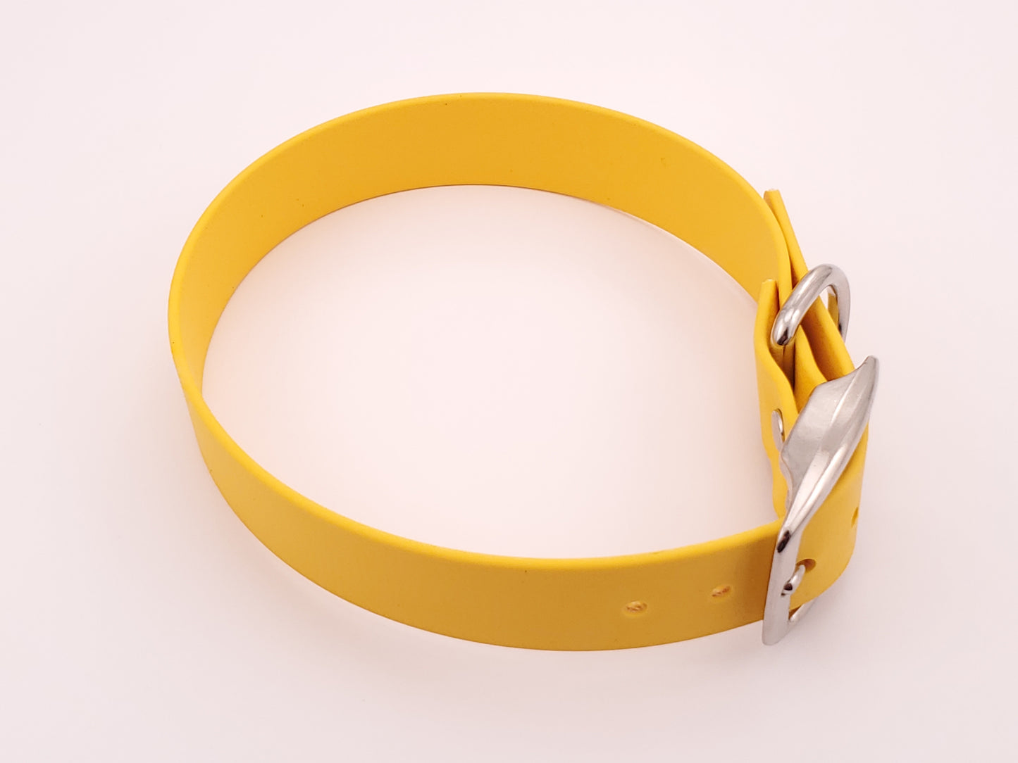 Yellow 1" Solid Buckle Collar