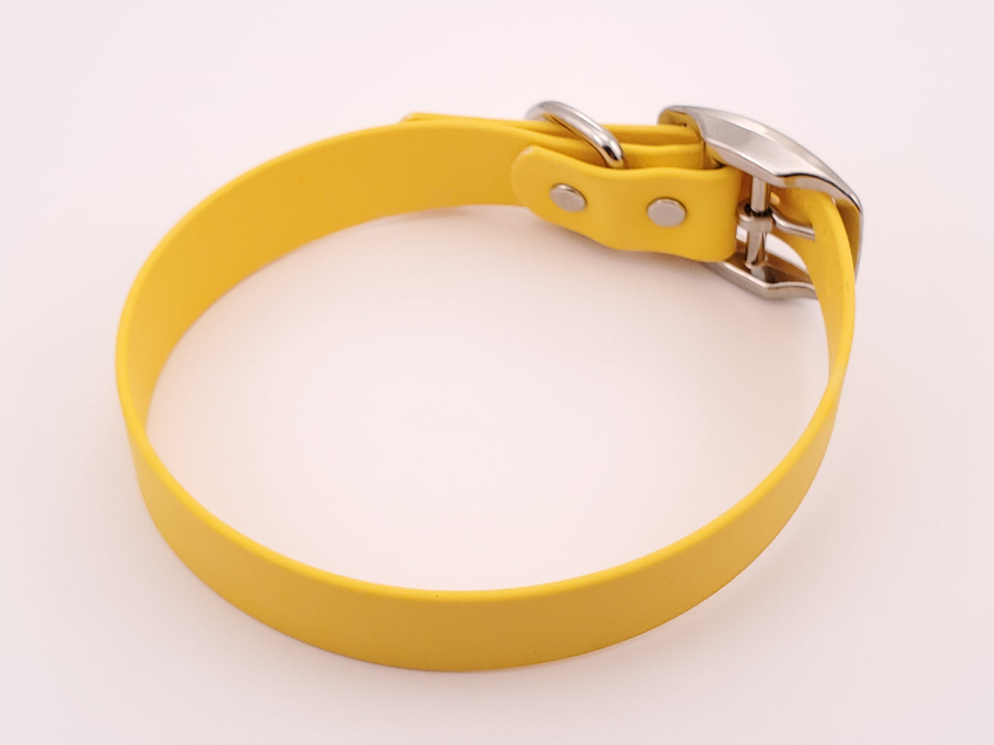 Yellow 1" Solid Buckle Collar