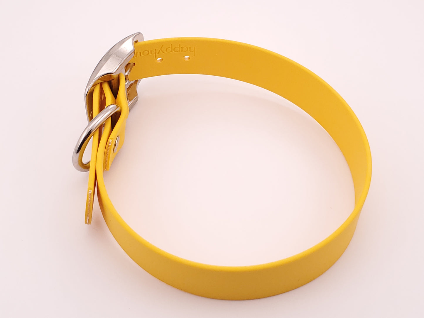 Yellow 1" Solid Buckle Collar