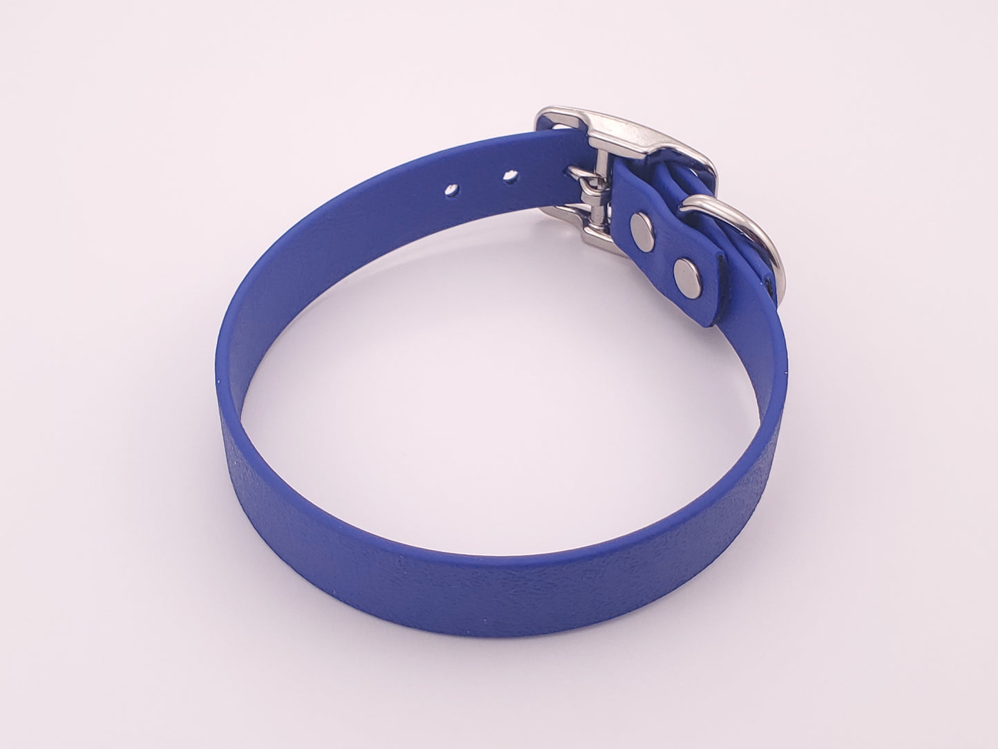 Blue 3/4" Solid Buckle Collar