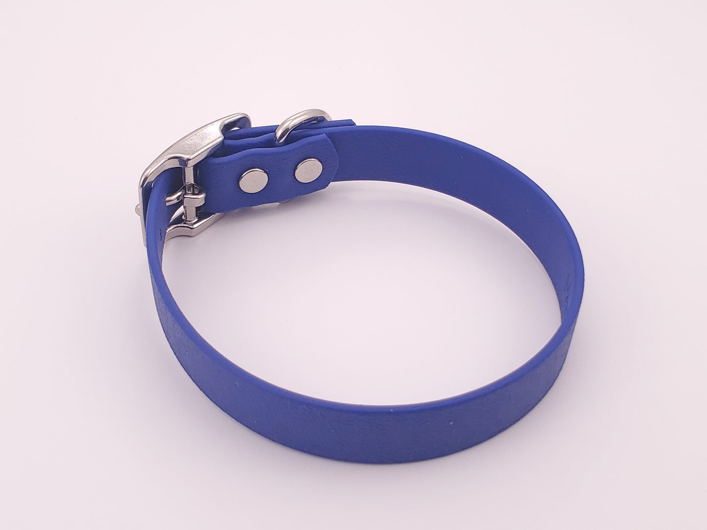 Blue 3/4" Solid Buckle Collar