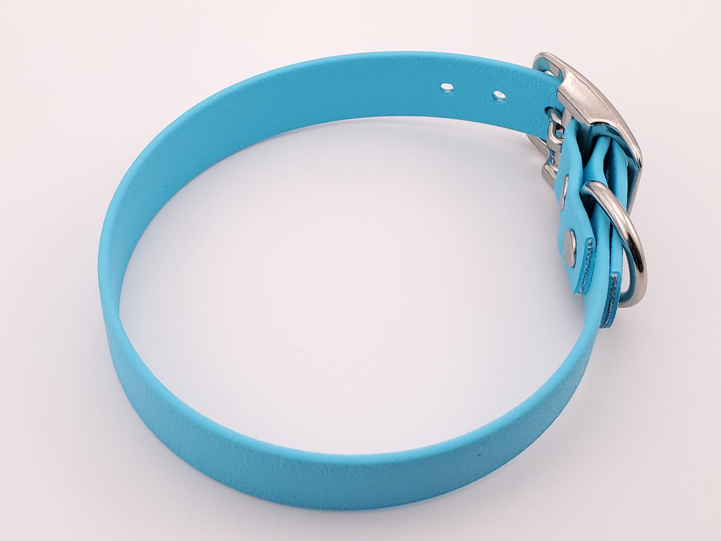 Light Blue 3/4" Solid Buckle Collar