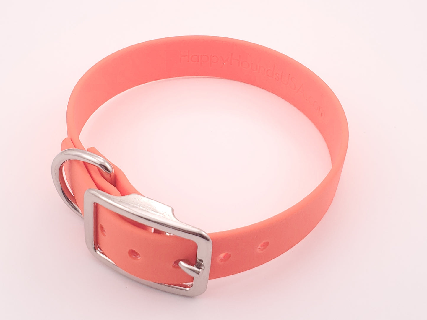 Orange 3/4" Solid Buckle Collar