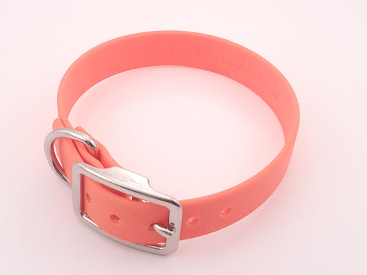 Orange 3/4" Solid Buckle Collar