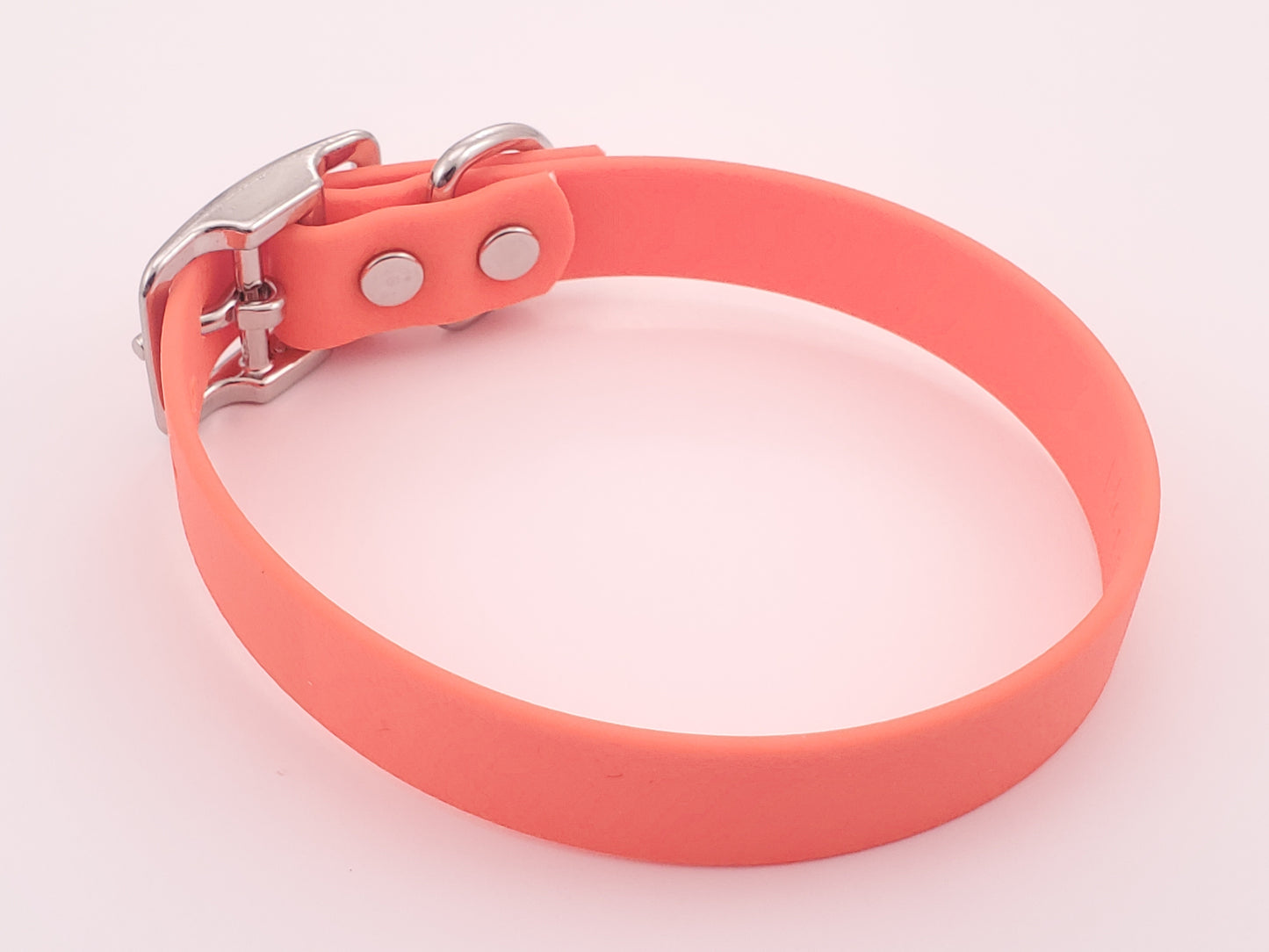 Orange 3/4" Solid Buckle Collar