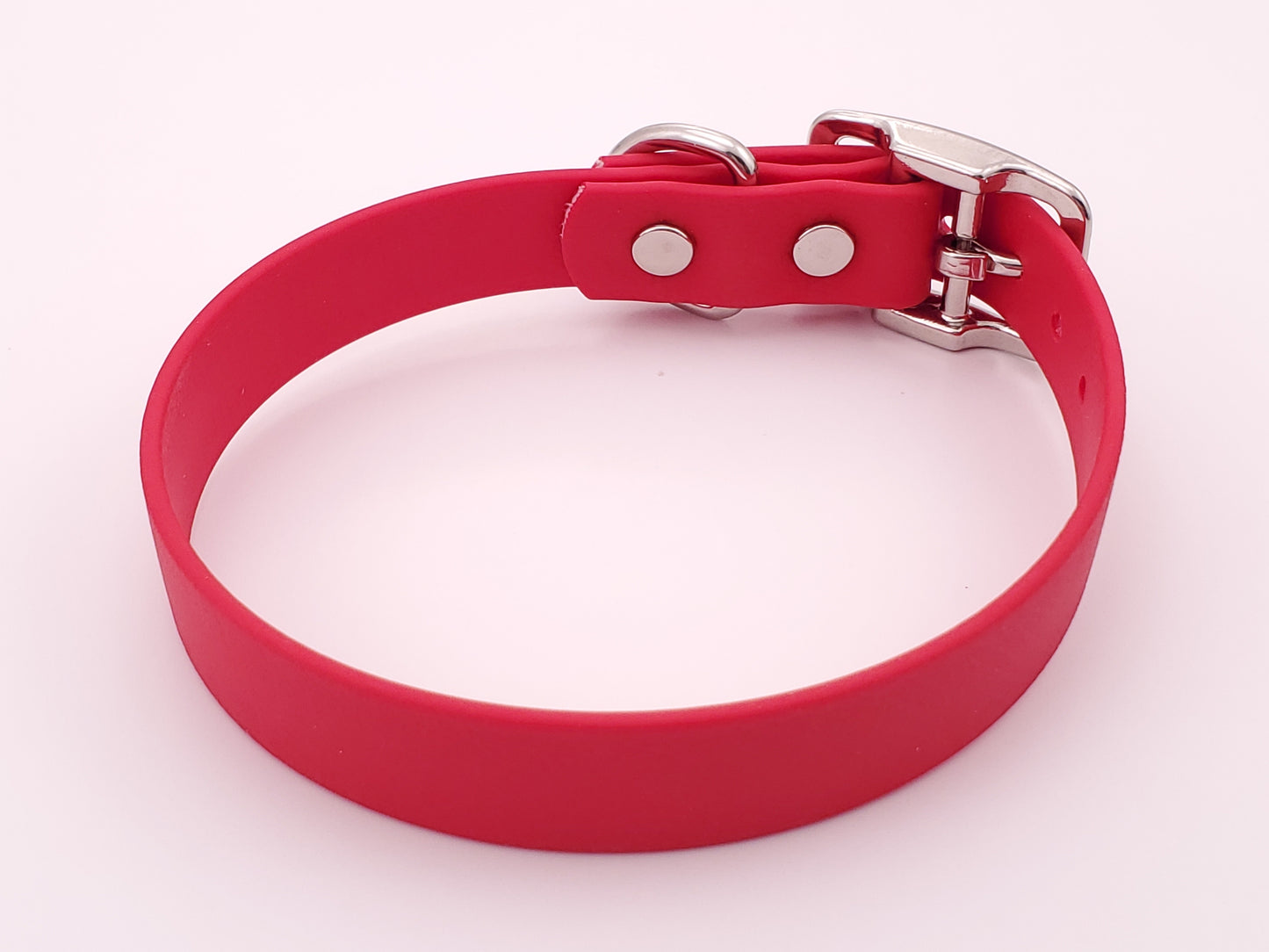 Red 3/4" Solid Buckle Collar