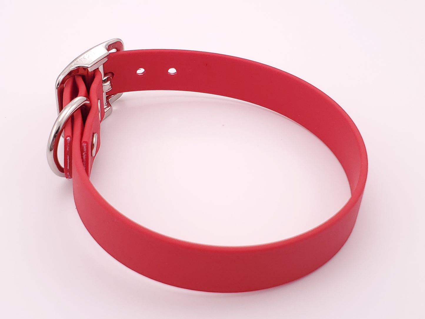 Red 3/4" Solid Buckle Collar