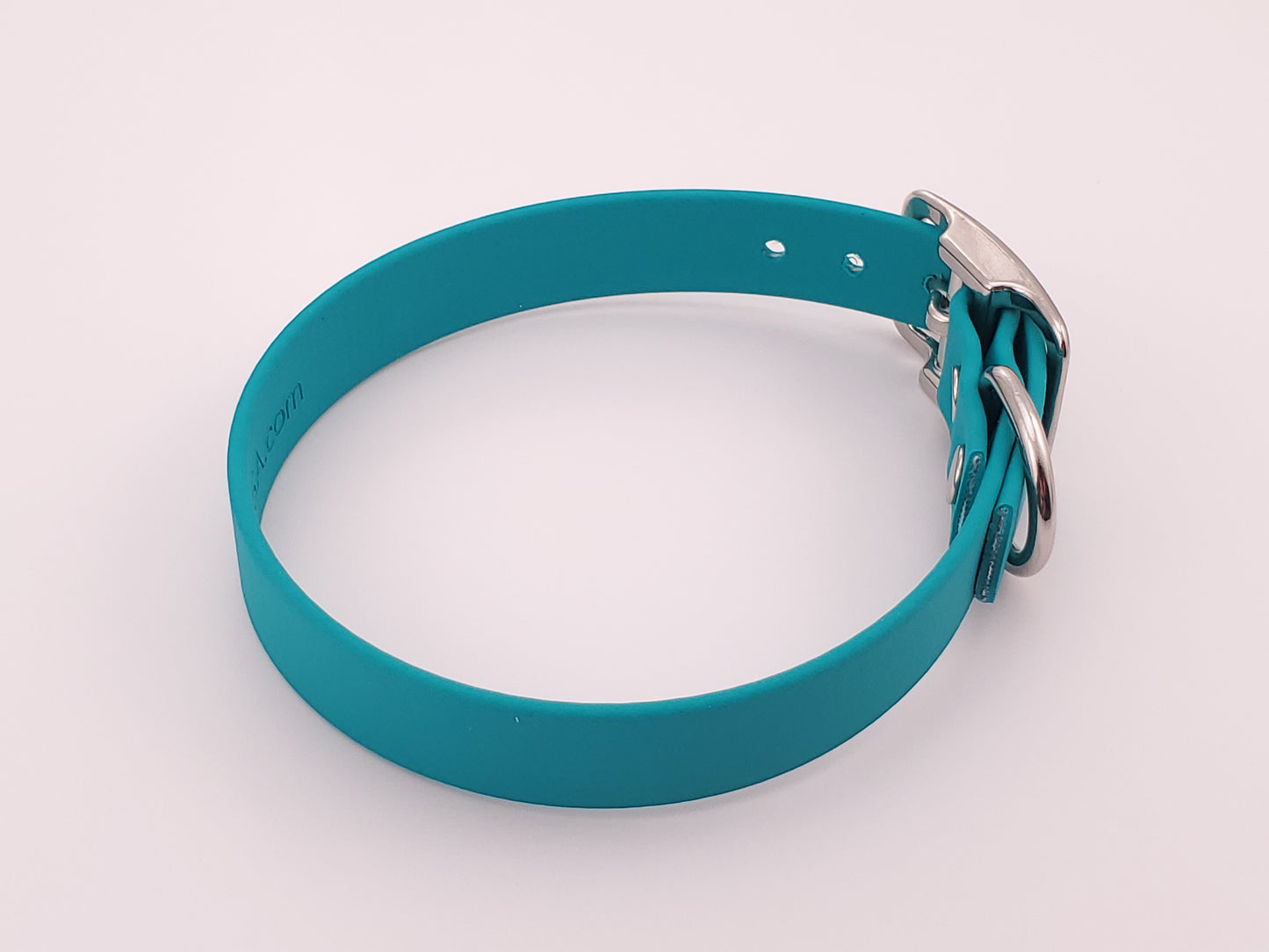 Teal 3/4" Solid Buckle Collar