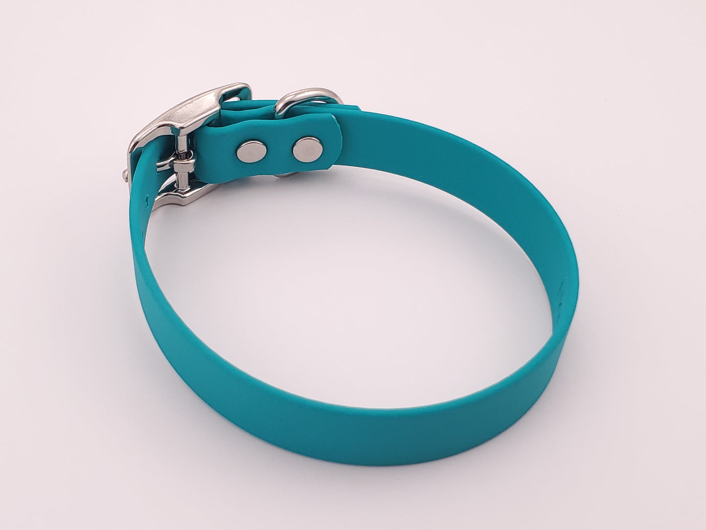 Teal 3/4" Solid Buckle Collar