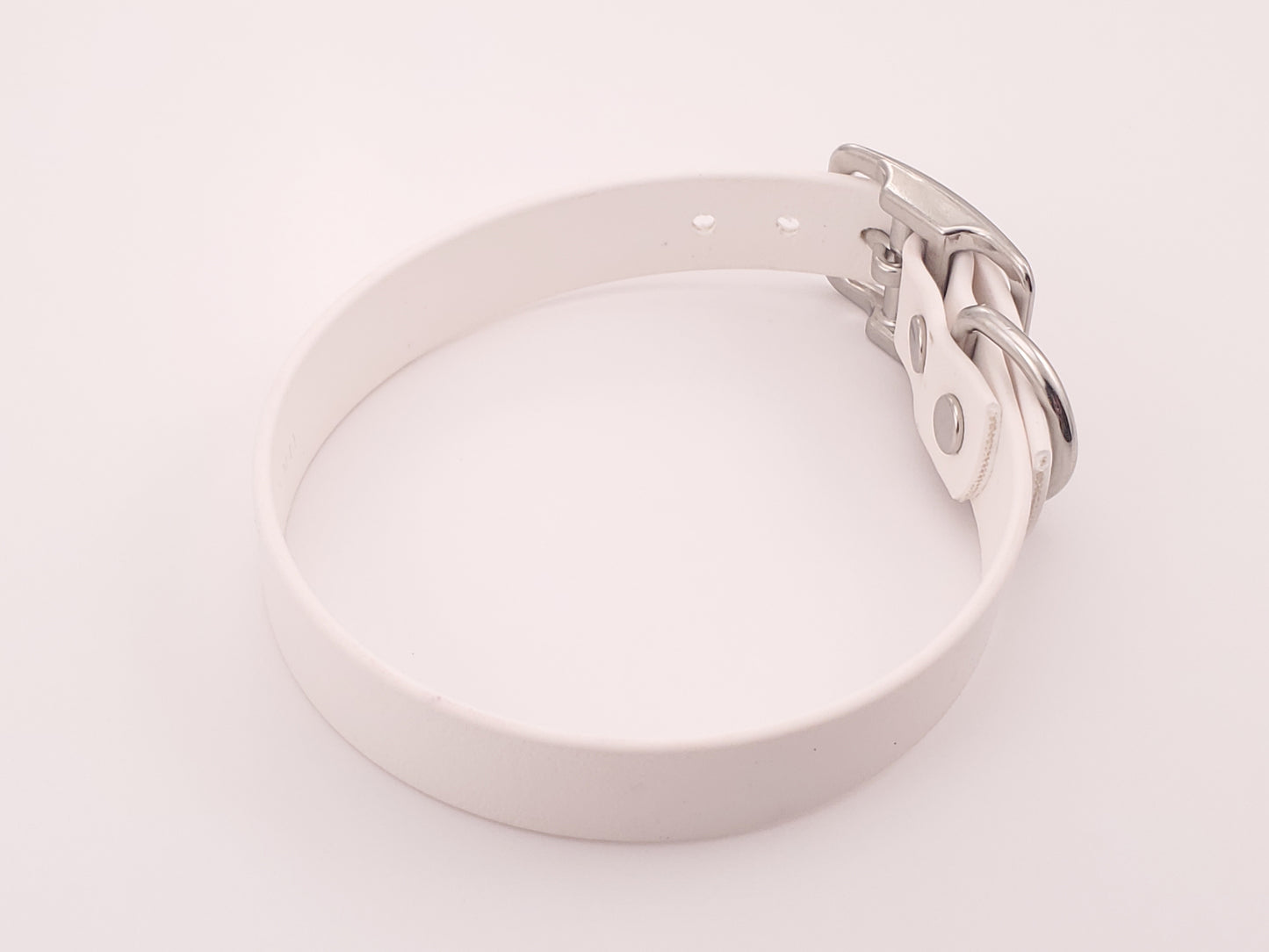 White 3/4" Solid Buckle Collar