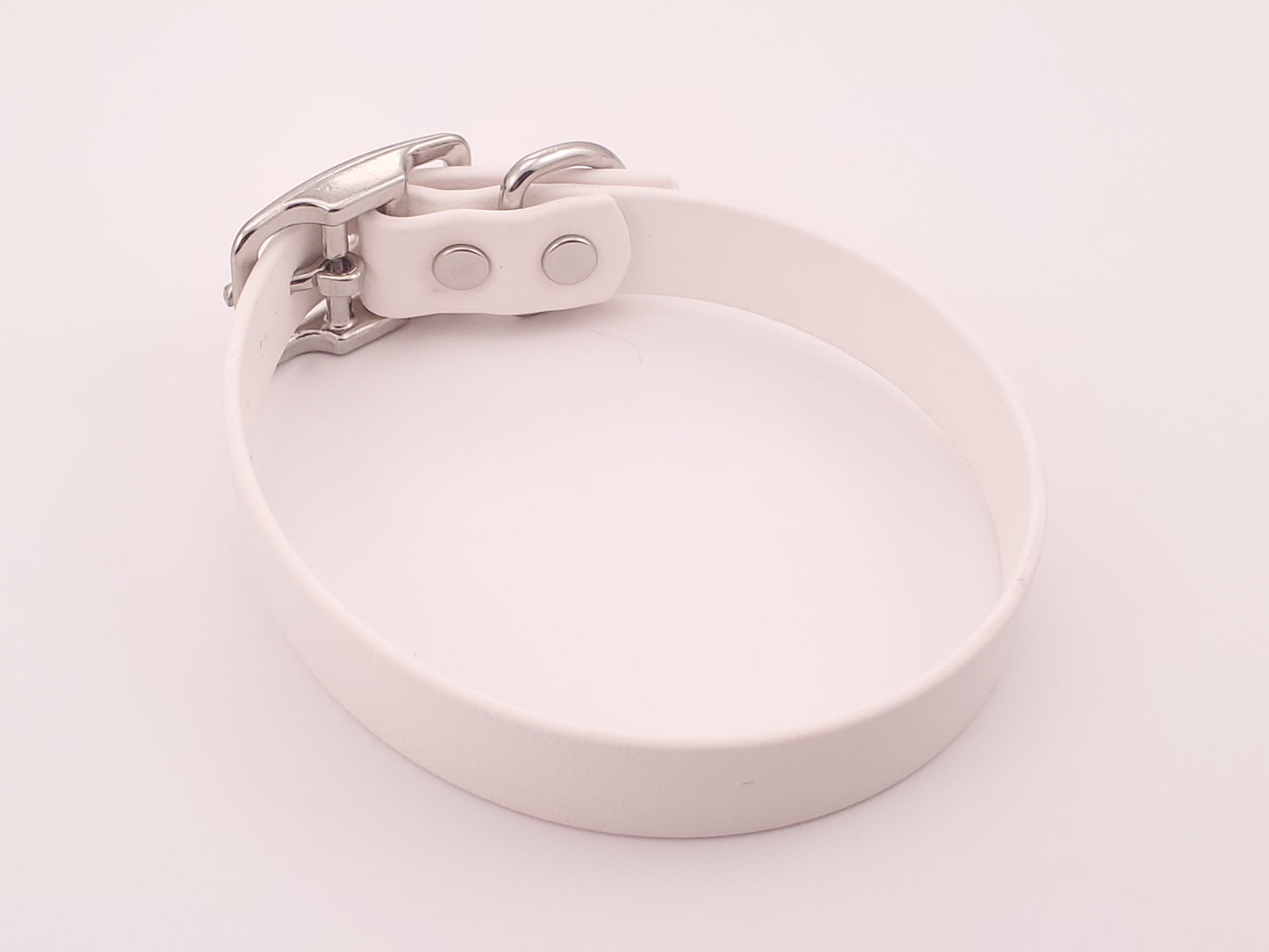 White 3/4" Solid Buckle Collar