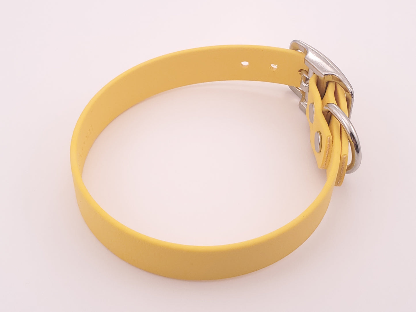 Yellow 3/4" Solid Buckle Collar