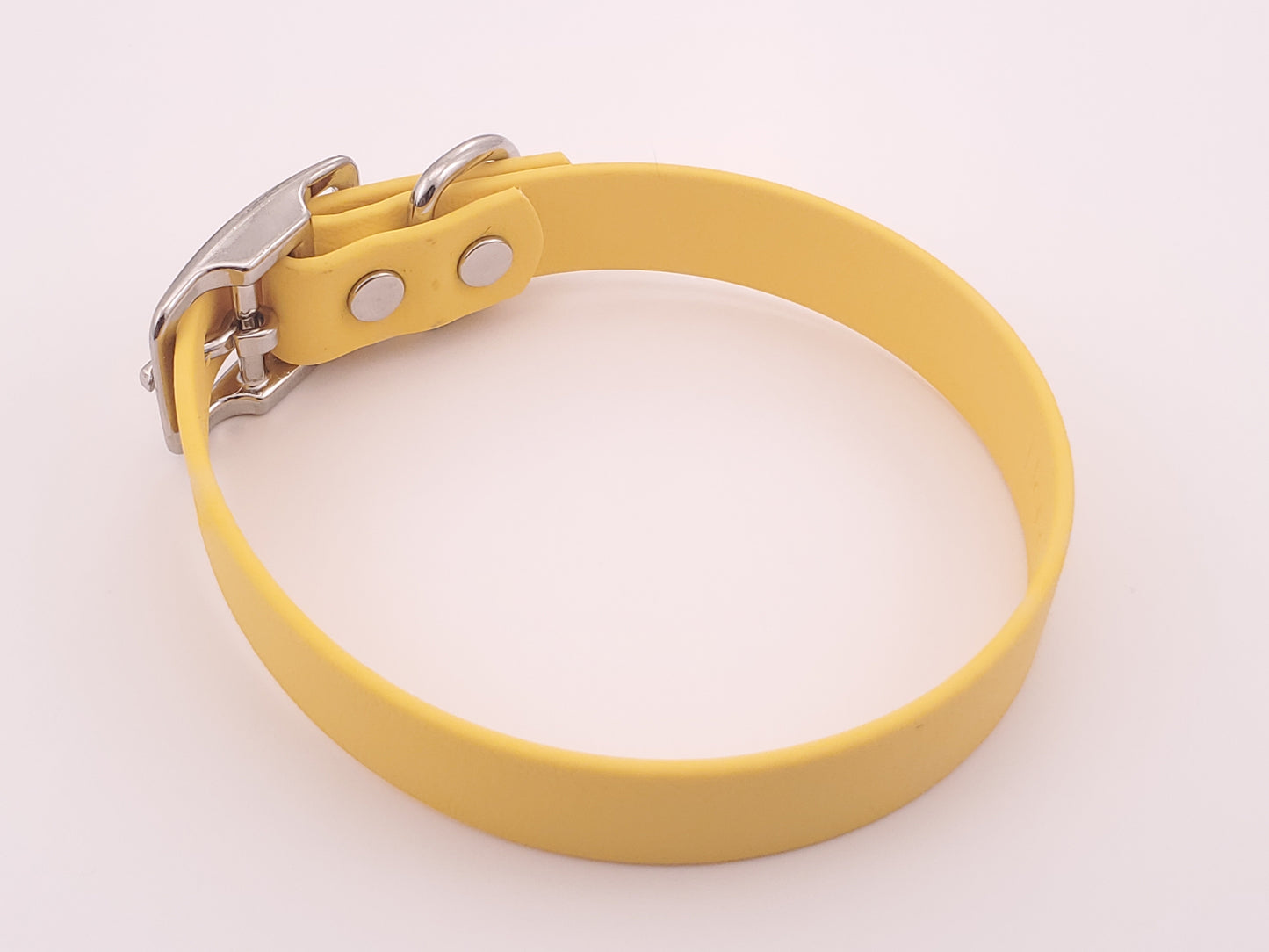 Yellow 3/4" Solid Buckle Collar