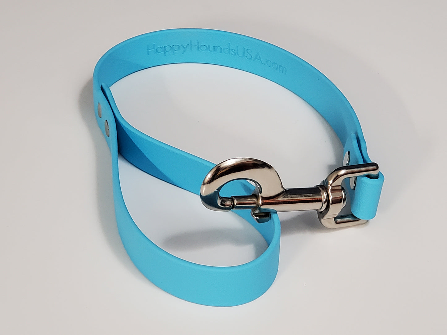 Biothane Leash